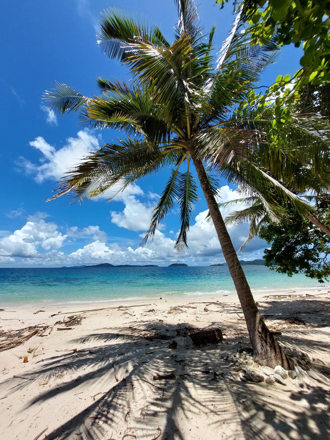 Schräg gewachsene Kokospalme an einem weißen Strand mit türkisblauem Meer